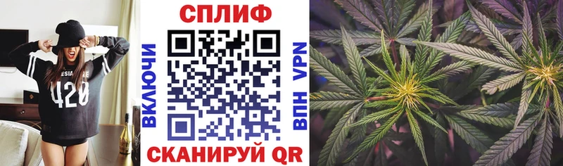 Шишки марихуана сатива  дарк нет телеграм  Пласт 